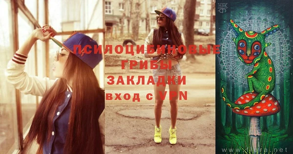 гидра Семёнов