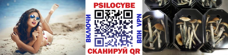 где продают наркотики  Балахна  Псилоцибиновые грибы прущие грибы 